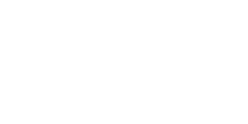 torresani logo