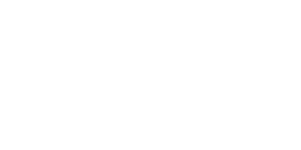 torresani logo